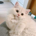 Avatar de Mateo Calleja